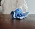 Örnek Temizlik Firması 2